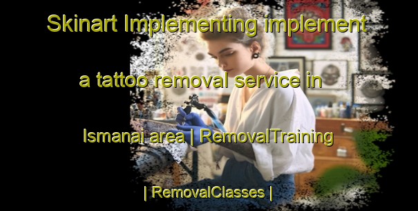 Skinart Implementing implement a tattoo removal service in Ismanai area | RemovalTraining | RemovalClasses | SkinartTraining-Lithuania